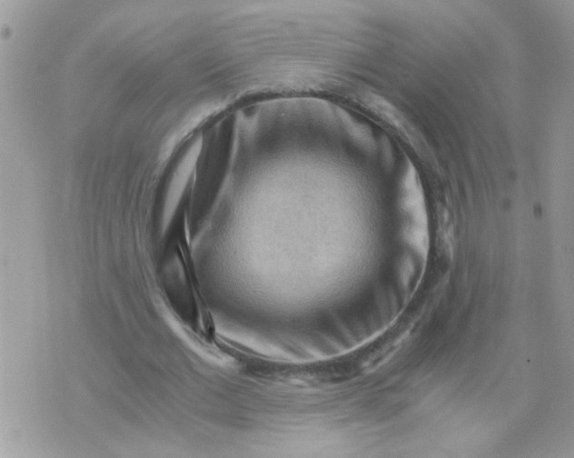 X0000073750677200608311936