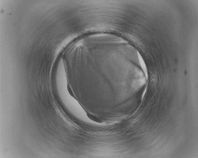 X0000073750678200608311936