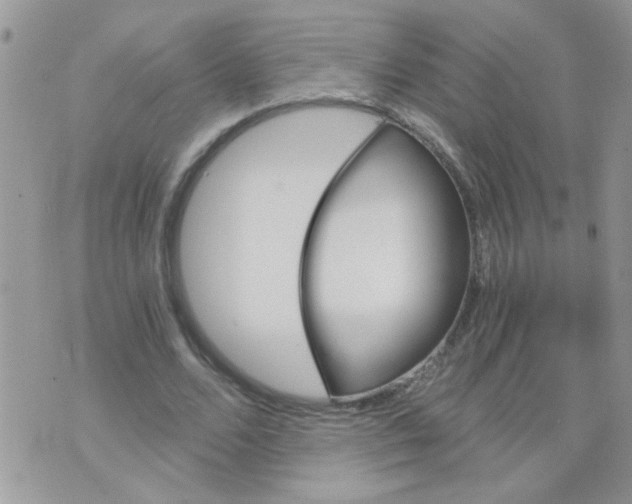 X0000073750680200608311936