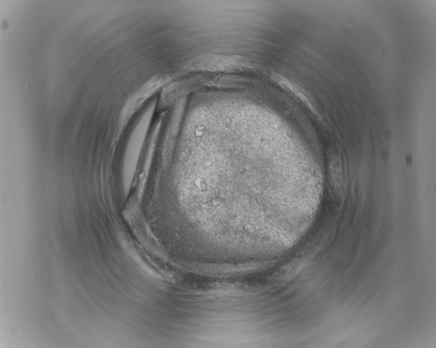 X0000073750682200608311936