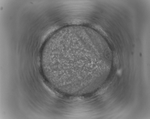 X0000073750683200608311936