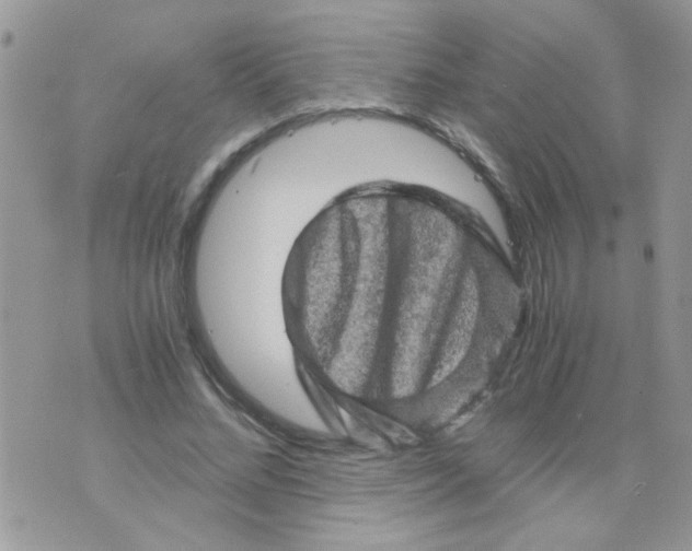 X0000073750684200608311936