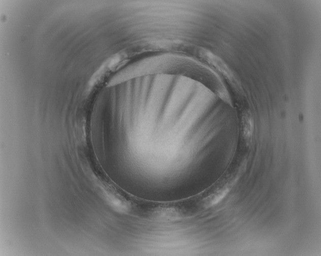 X0000073750685200608311936