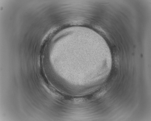 X0000073750686200608311936