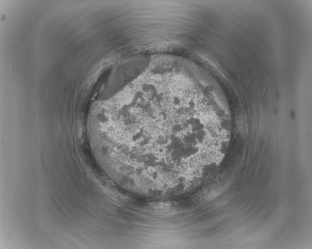 X0000073750687200608311935