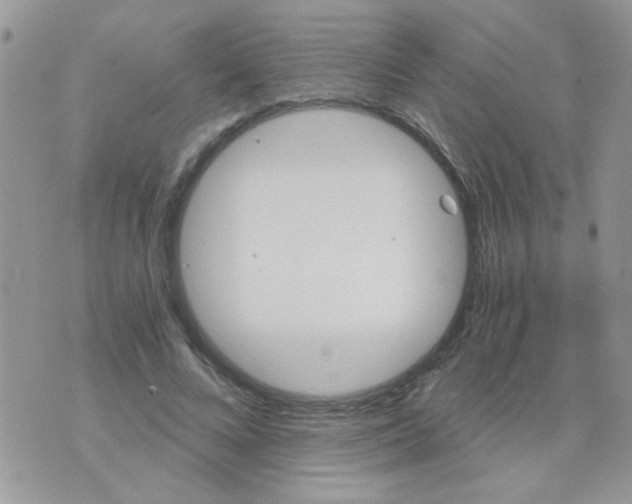 X0000073750688200608311935