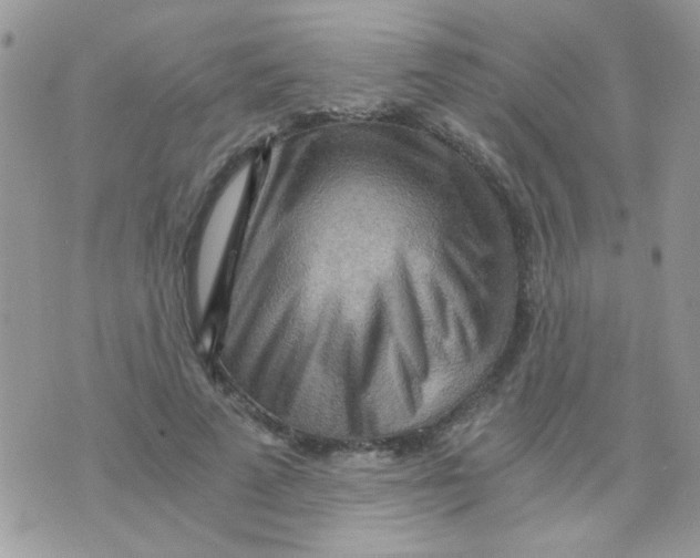 X0000073750689200608311935