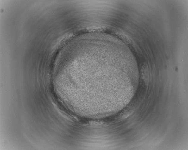 X0000073750690200608311935