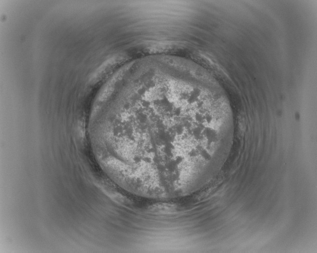 X0000073750691200608311935