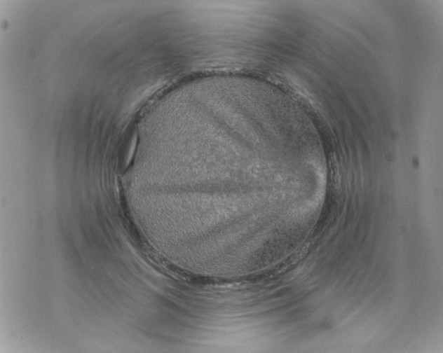 X0000073750692200608311935