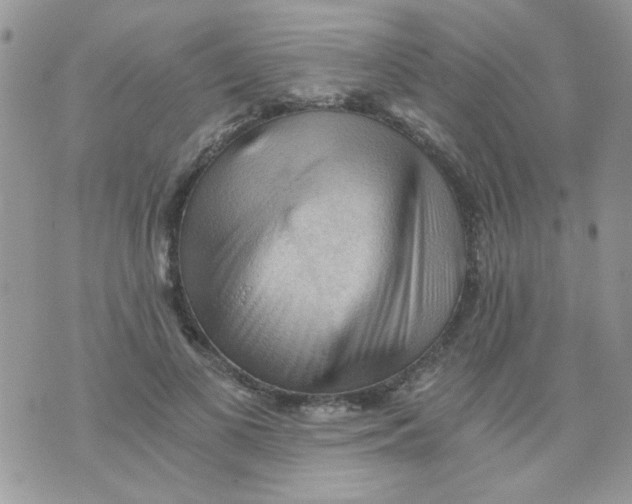 X0000073750693200608311935