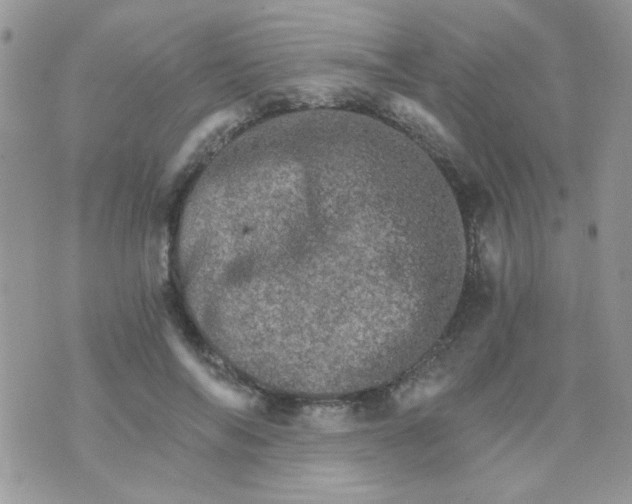 X0000073750694200608311935