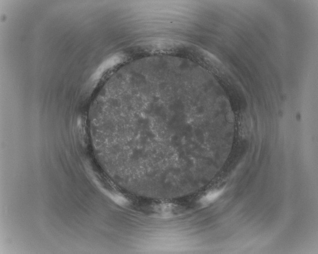 X0000073750695200608311935