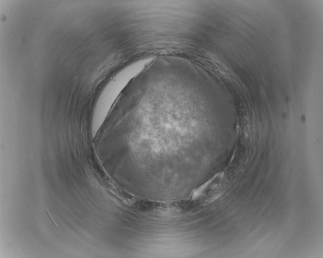 X0000073750696200608311935