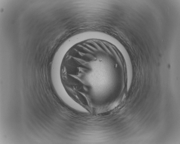 X0000073750697200608311935