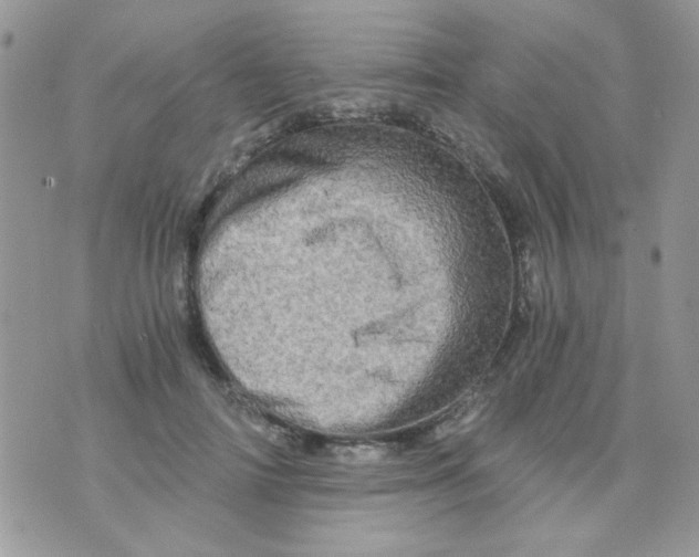 X0000073750698200608311935