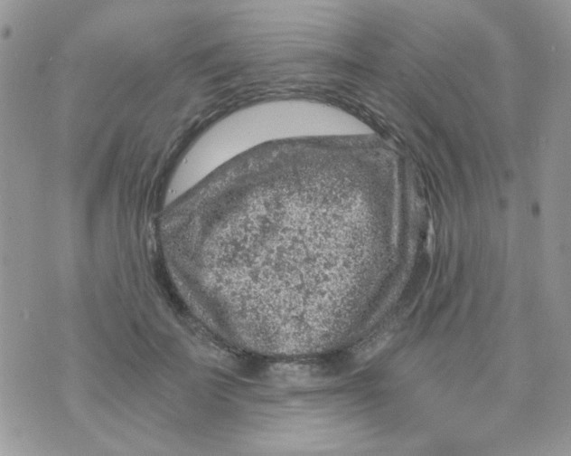 X0000073750699200608311935