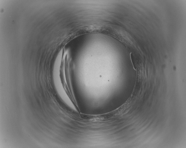 X0000073750700200608311935