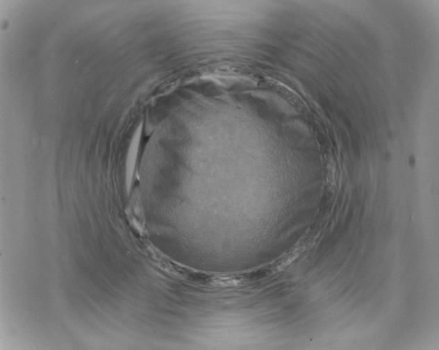 X0000073750701200608311935