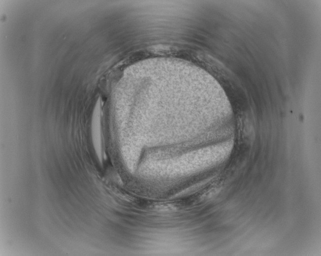 X0000073750702200608311935