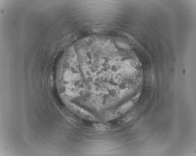 X0000073750703200608311935