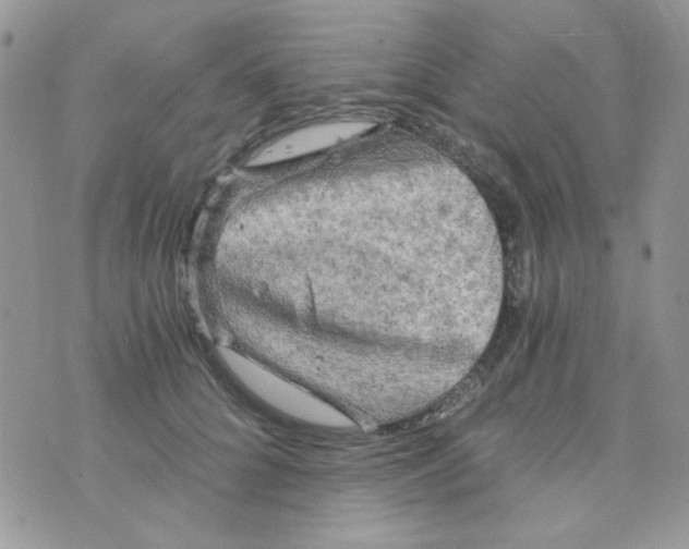 X0000073750704200608311935