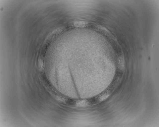 X0000073750705200608311935