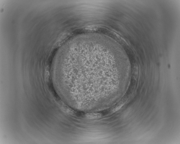 X0000073750707200608311935