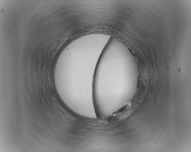 X0000073750708200608311935