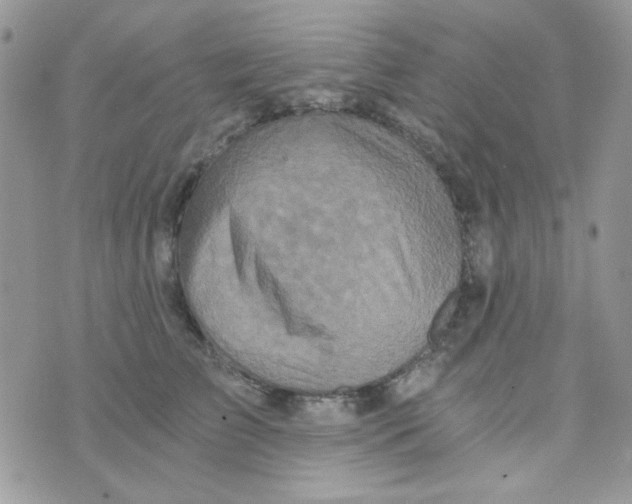 X0000073750709200608311935