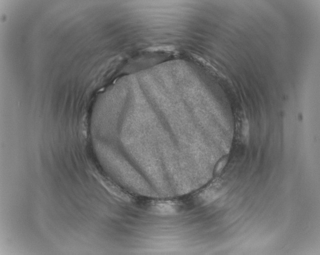 X0000073750710200608311935