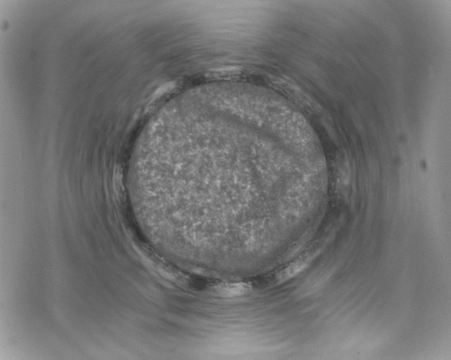 X0000073750711200608311935