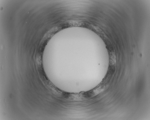 X0000073750713200608311935