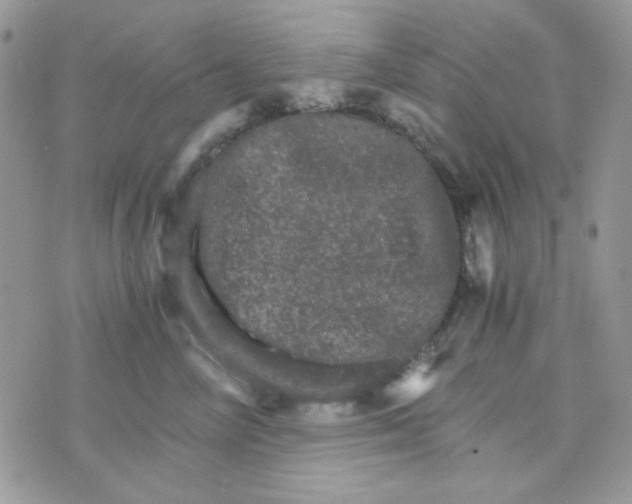 X0000073750714200608311935