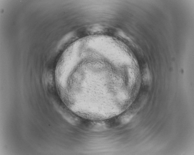 X0000073750715200608311935