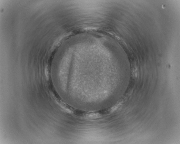 X0000073750716200608311935