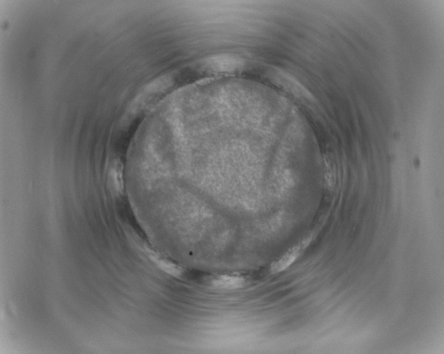 X0000073750718200608311935