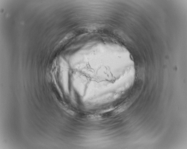 X0000073750719200608311935