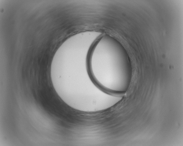 X0000073750720200608311935