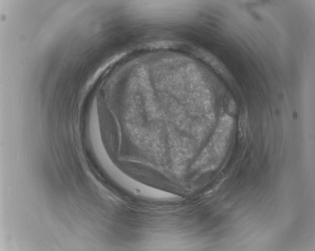 X0000073750722200608311934