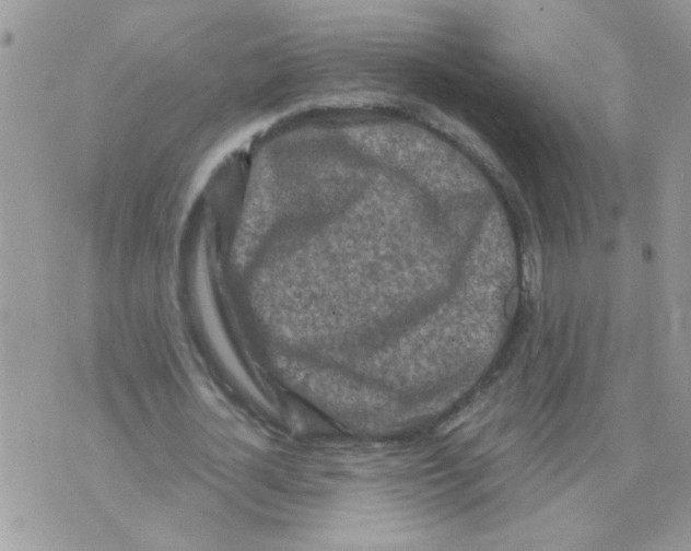 X0000073750724200608311934