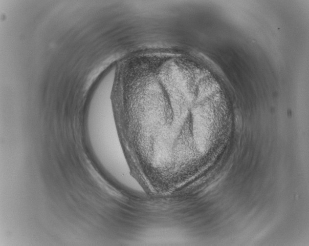 X0000073750725200608311934