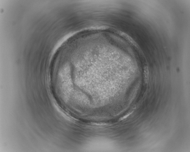 X0000073750726200608311934