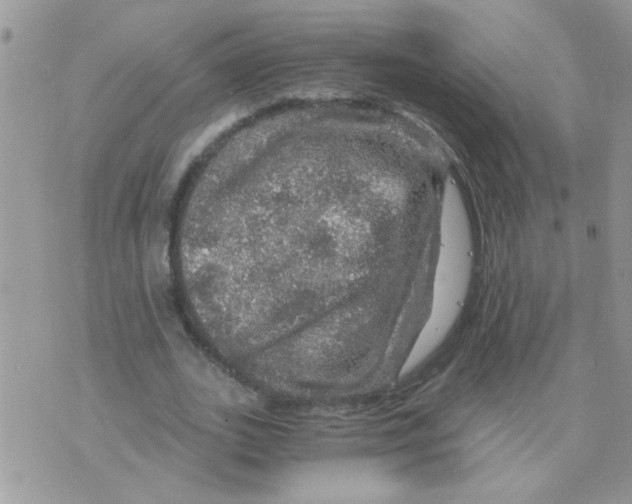 X0000073750727200608311934