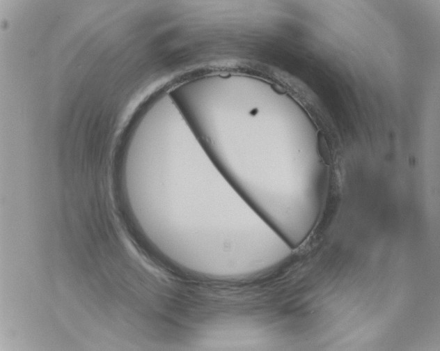 X0000073750728200608311934