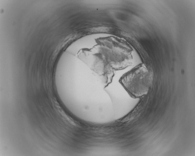 X0000073750729200608311934