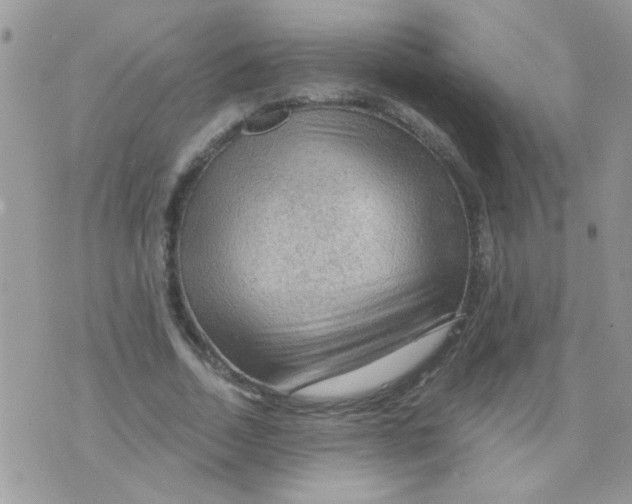 X0000073750730200608311934