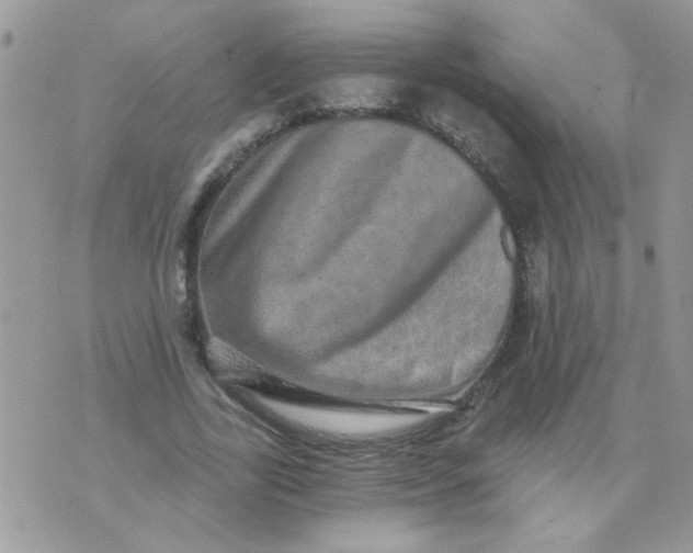 X0000073750731200608311934