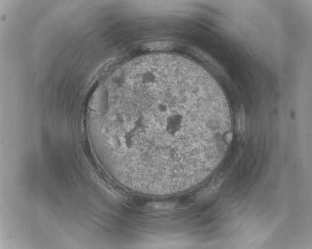 X0000073750733200608311934