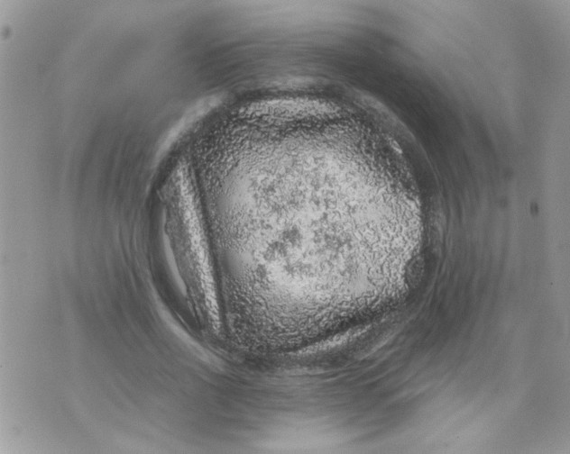 X0000073750734200608311934